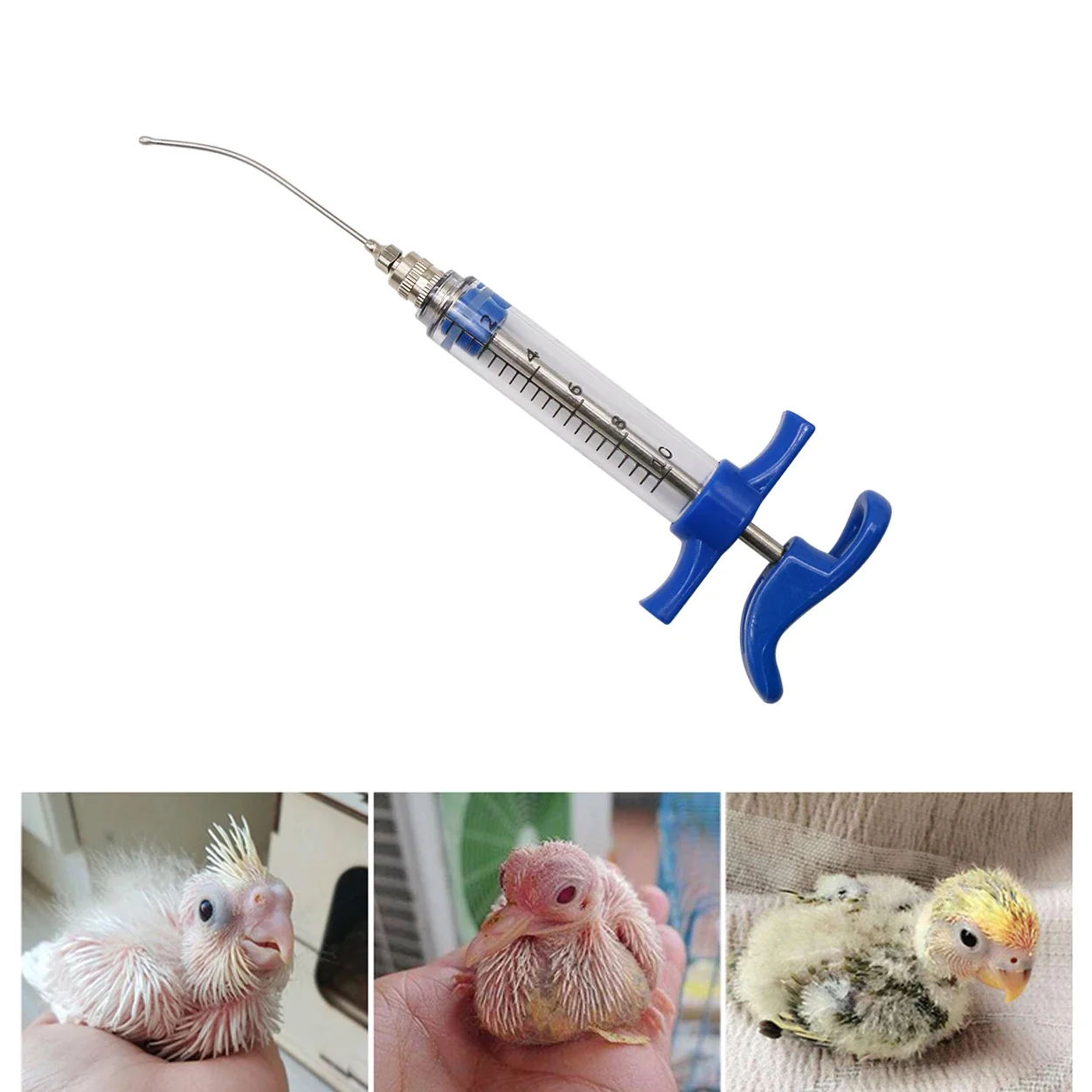 Baby Food Youtube - Parrot Feeding Tubes Birds Feeding Syringe