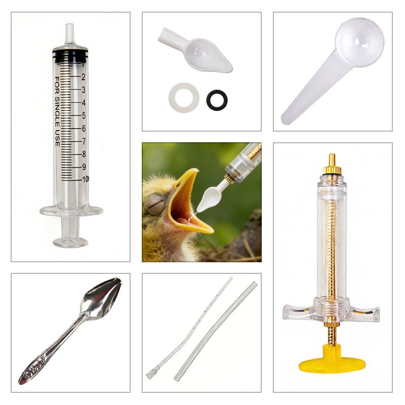 Baby Food Youtube - Food Grade Bird Feeder for Baby