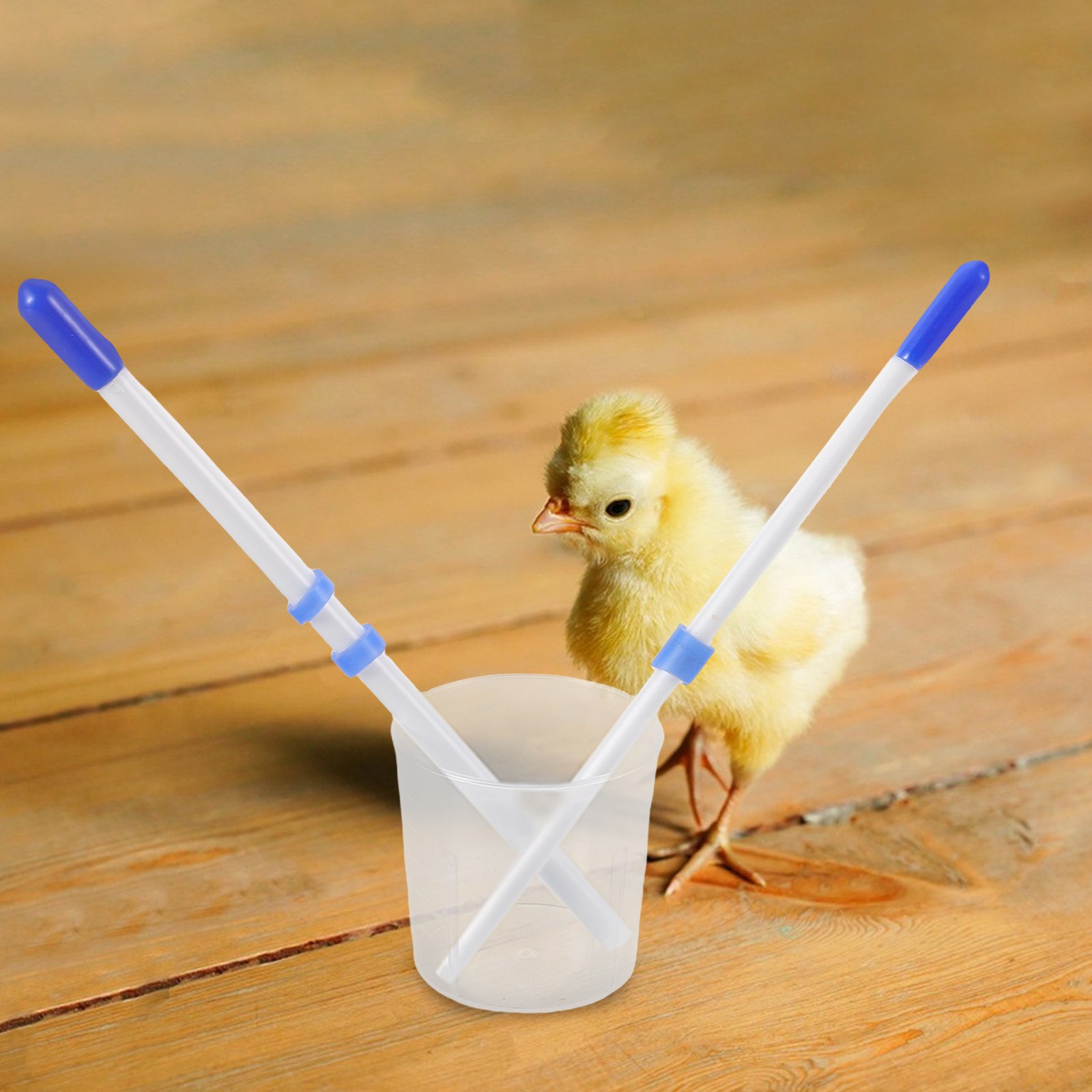 1Set Chick Feeder Injector Pla - Baby Food Youtube recension och pris