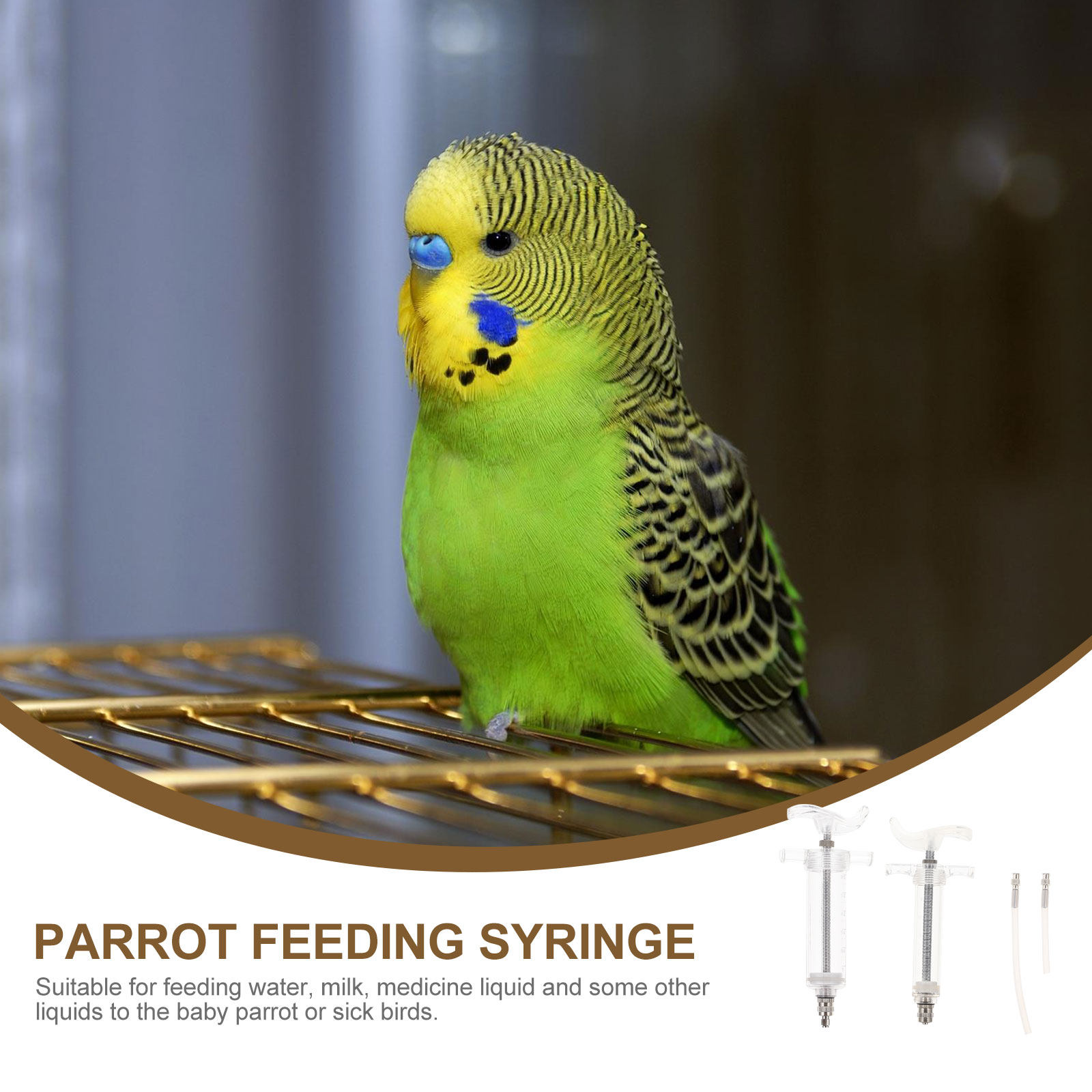 1Set Baby Bird Feeding Budgie  - Baby Food Youtube recension och pris