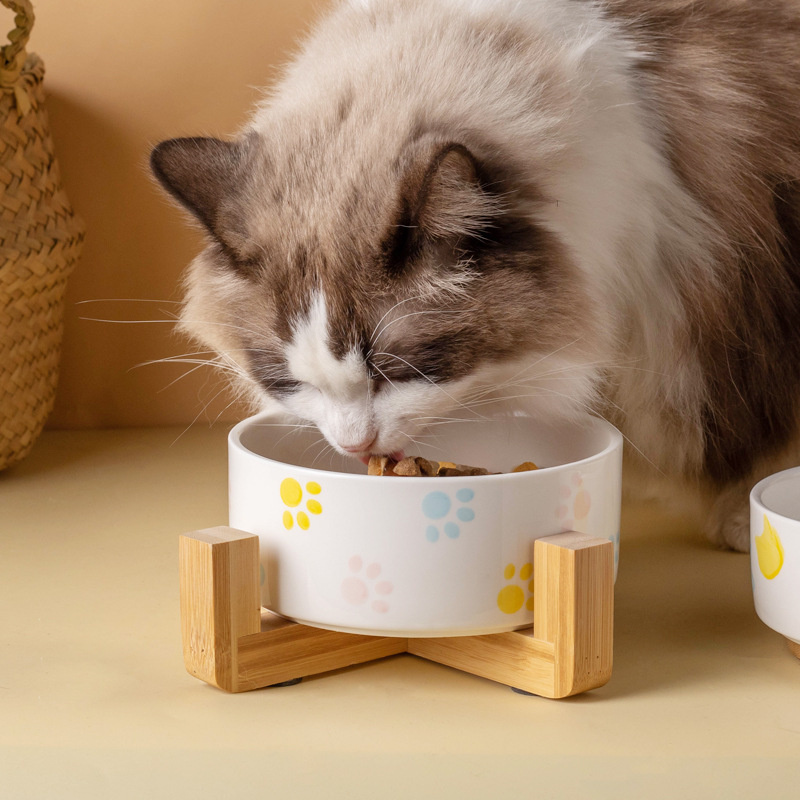 Ceramics Dog Bowl with Wood Ma - Baby Food Cat recension och pris
