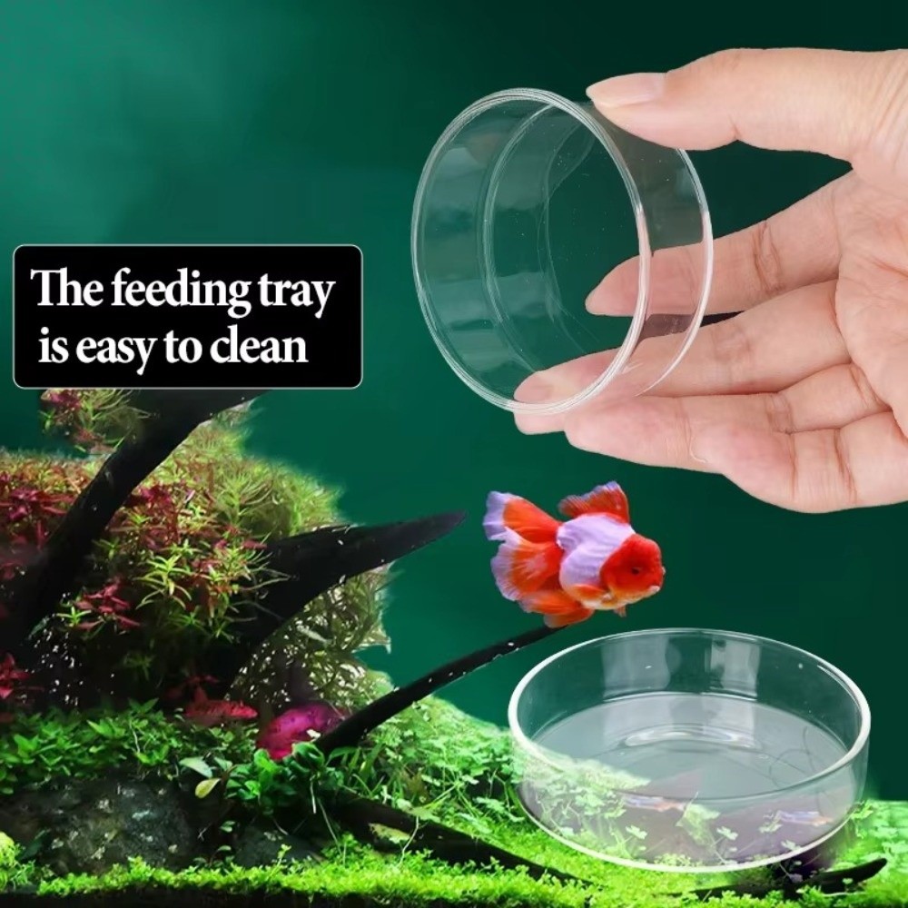 Glass Aquarium Feeding Bowl Du - Baby Food Shrimp recension och pris
