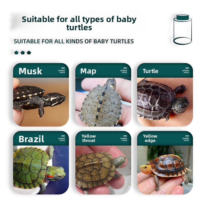 BESSN All-Stage Turtle Food wi - Baby Food Shrimp recension och pris