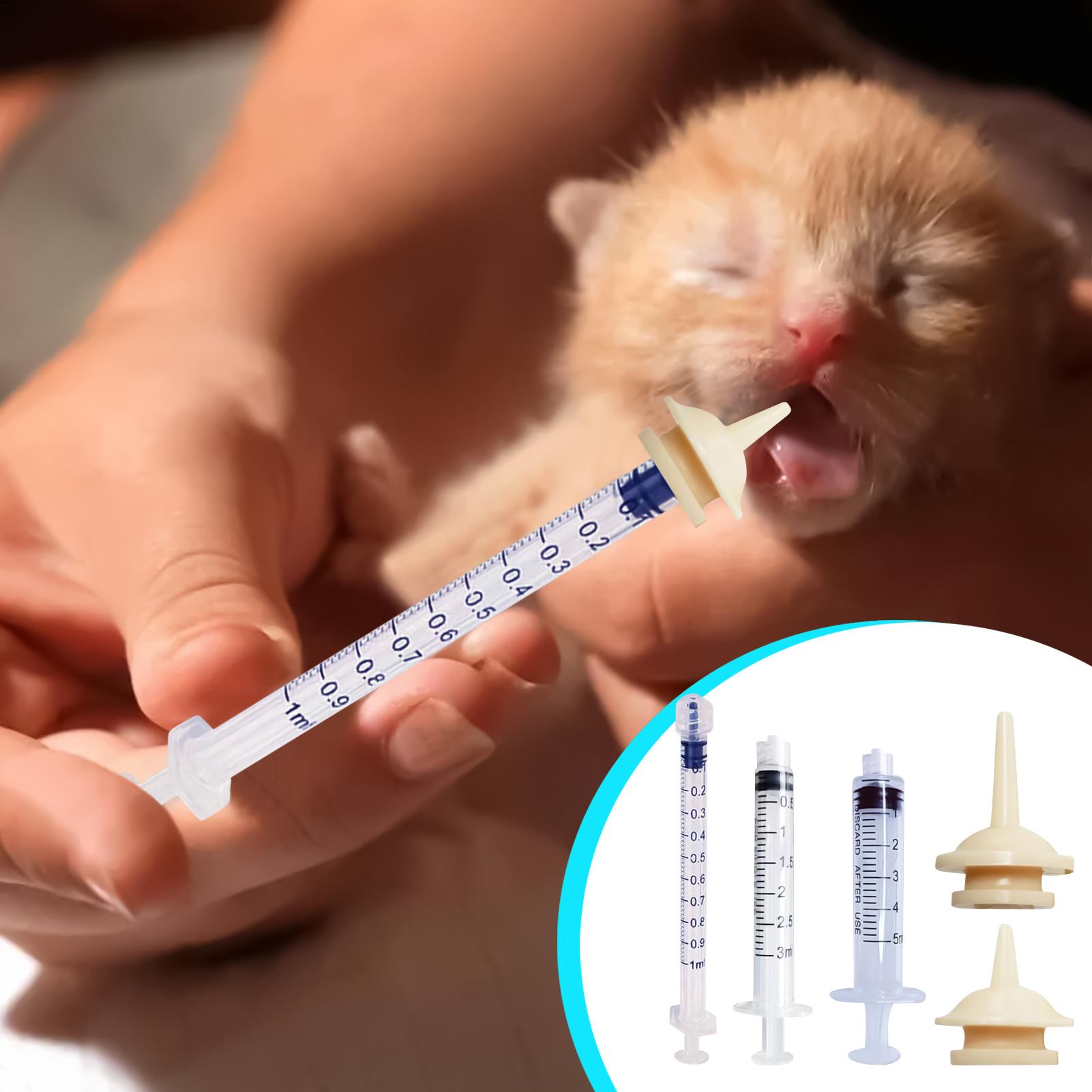Baby Bird Feeding Syringe Reus - Baby Food Youtube recension och pris