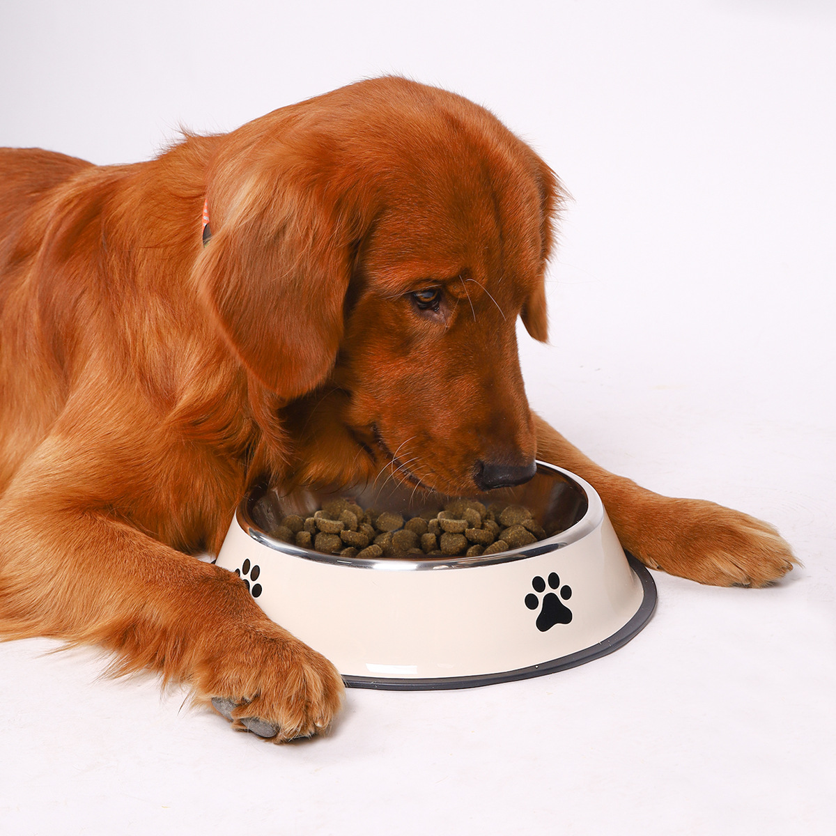Stainless Steel Pet Bowl Cat B - Baby Food Cat recension och pris