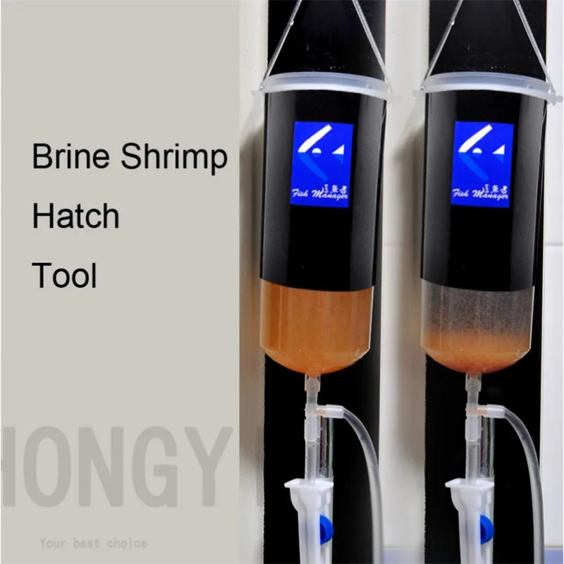 Fairy shrimp egg artemia alive - Baby Food Shrimp recension och pris